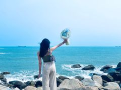 -广东惠东海龟国家级自然保护区