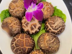 -吾家传承·橄榄妹大排档(陈家祠店)