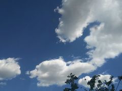 -椰子下蛋(南锣鼓巷店)