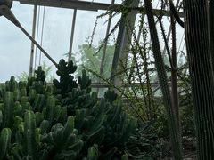 -南山植物园