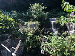 -陶祖圣境风景区