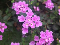 -碧水湾温泉