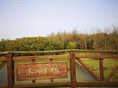 -上海海湾国家森林公园