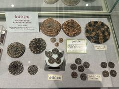 -北京中医药大学-中医药博物馆