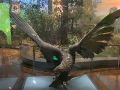 -陕西自然博物馆