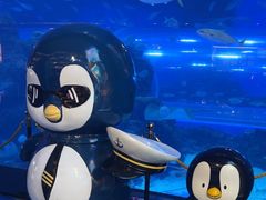 -成都浩海立方海洋公园