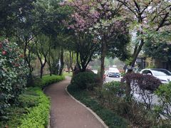 -樱桃山旅游景区
