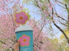 -君邦火锅(新疆大厦店)