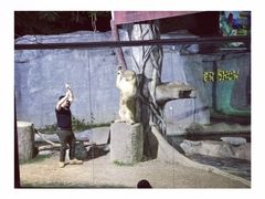 -清迈夜间动物园