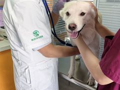 -瑞派福兴宠物医院犬猫全科·骨科·中西医结合(河东店)