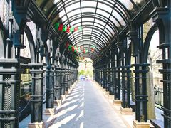 -合肥滨湖国家森林公园