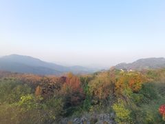 -中国茶叶博物馆(双峰馆区)