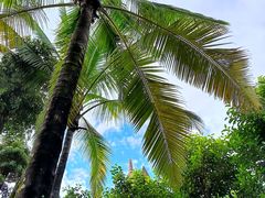 -西双版纳融创皇冠假日度假酒店