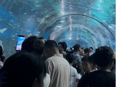 -海合安武汉极地海洋公园