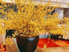 -顺峰(农展馆店)