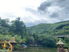 -西双版纳原始森林公园