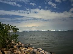 -深圳湾公园(南山区)