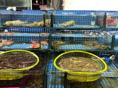 -板桥海鲜广场(文明东店)