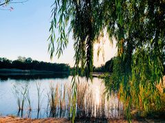 -永定河休闲森林公园