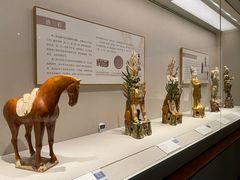-深圳博物馆(古代艺术馆)