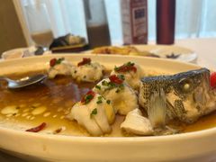 -骏莱海鲜鱼港(五角场店)
