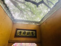 -普陀山风景区-佛顶山