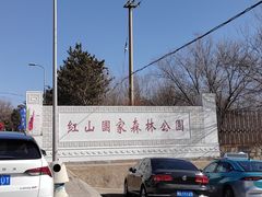 -红山国家森林公园