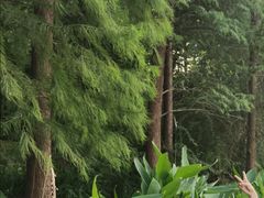 -重庆彩云湖湿地公园