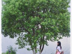 -艾溪湖湿地公园