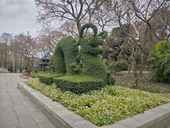 -金花茶公园
