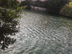 -厦门市演武小学