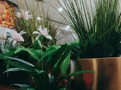 -红菜坊·烤鸭·川鲁宴(石园店)
