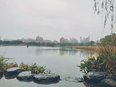 -武汉园博园(武汉自然博物馆)