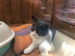 -龟与熊猫宠物公园(南坪店)