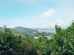 -宝界山林公园