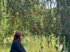 -人民公园(罗湖区)