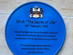 -马小毛老上海里脊肉(南翔印象城店)