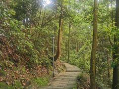 -缙云山景区