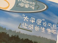 -麦当劳(皇岗路店)