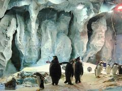 -喷泉广场餐厅·宵夜·海鲜烧烤大排档(长隆企鹅酒店)