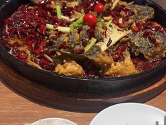 -老板恋上鱼(恒隆广场店)