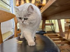 -雕刻时光·咖啡·酒吧·西餐(香山店)