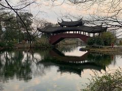 -三垟湿地