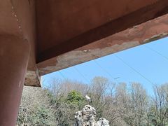 -合肥野生动物园