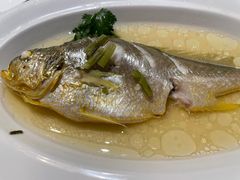 舟山野生小黄鱼-香浙汇(望京店)