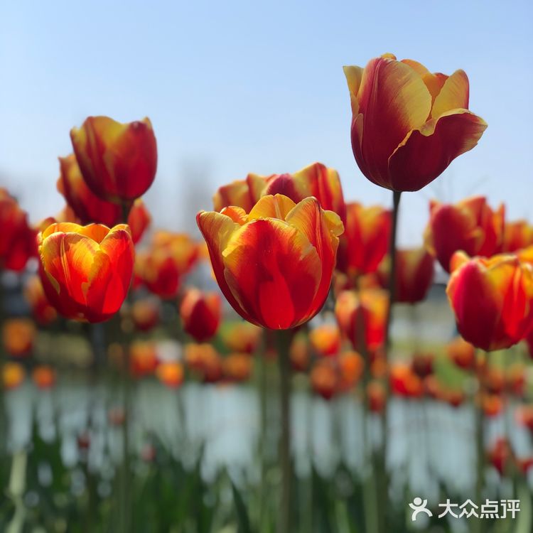哈哈 怎么说呢 无功无过 口味普通 油也不少