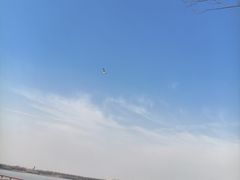 -天津金海湖