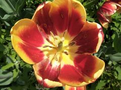 -长春公园(普阳街道)