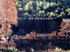 -林坑古村落