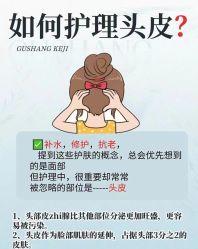 -木北造型
